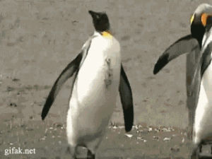 drunk,penguin