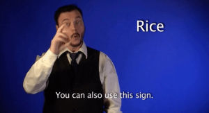 sign with robert,rice,sign language,asl,american sign language