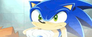 sonic the hedgehog,shadow the hedgehog,sonic x,sonic,idk what this is
