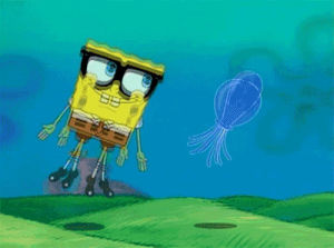 sponge,spongebob,bob,squarepants,jellyfish fields