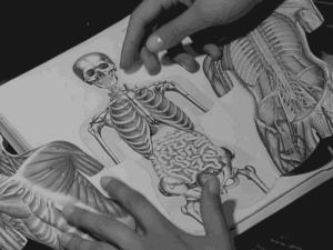 biology,creepy,book,skull,anatomy