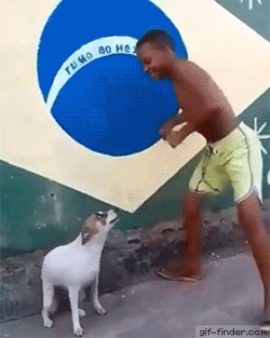 boy,dog,samba,dance