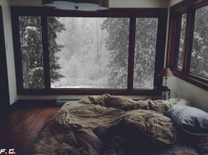 snowfall,snowing,bedroom,window,tree