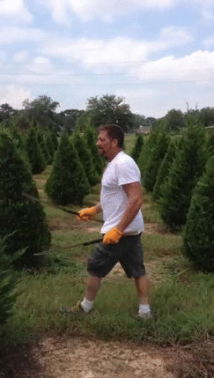 christmas,tree,trimmer,satisfying