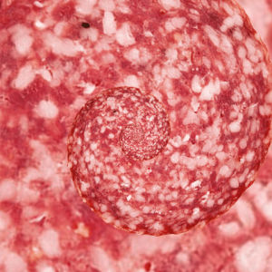 sausage,wine,salami,red,nitrate,marble,hypnotic,mince,preservatives,italy,ladies,beef,thick,macro,food,white,fat,pig,foodie,tasty,meat,italian,konczakowski,slice,spiral,fingers,spicy,salt,hypnosis,product