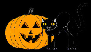 halloween,transparent,black,images,cats,mania