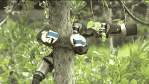 camera,tech,tree,hugging