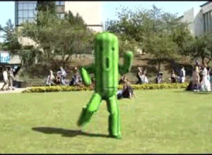 cactus,dancing