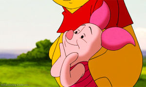 winnie the pooh,piglet