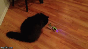 um,kitty,something,toy,helicopter