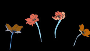 animation,sleep tight,flowers,2d,wip