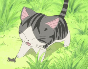 chis sweet home,cat,anime,adorable,nice,aw