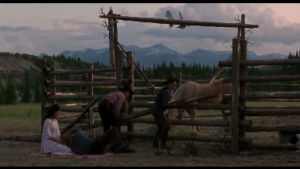 ranch,movie,film,animals,dog,horse,brad pitt,mountains,collie,legends of the fall,karina lombard,tristar pictures,gordon tootoosis,tristar,paul desmond