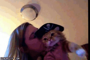 pirate,cat,hat