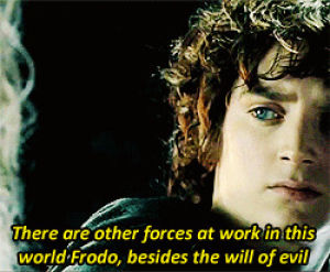movies,the lord of the rings,serious,our,fellowship of the ring,male,frodo,young,lord of the rings,gandalf,beard,rebecca