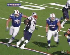 Nfl forum fan GIF - Find on GIFER