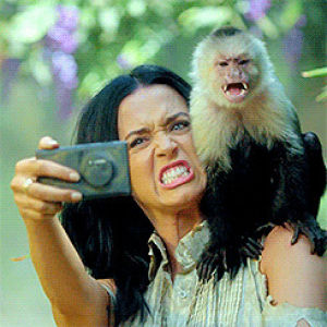 video,katy perry,photo,monkey,roar