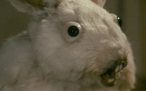 creepy,rabbit,stop motion,jan vankmajer,neco z alenky,nashers,alice 1988