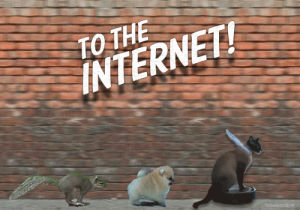 internet,to the internet