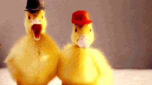 ducktales,ducks,quack,cute,disney,baby animals,disney xd,oh my disney,flavor of love