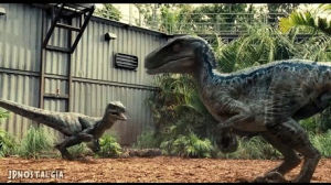 jurassic world,movie,velocirraptor