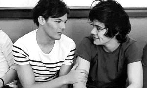 larry stylinson,larry,music,love,one direction,1d,secret,larry shippers,stylinson,uncover