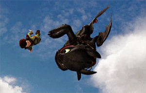 toothless,how to train your dragon,httyd,hiccup,t of the nightfury