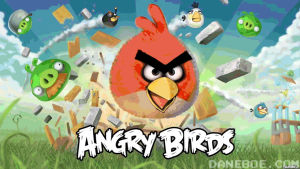 angry,vs,chuck,birds,norris