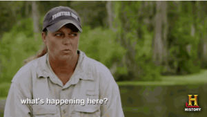 confused,history,question,whats happening,swamp people