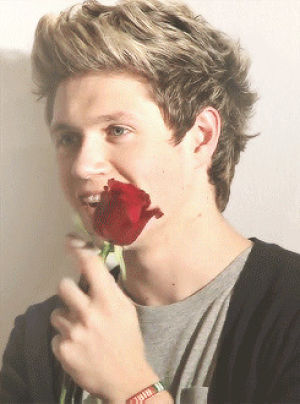 roses,music,love,one direction,niall horan