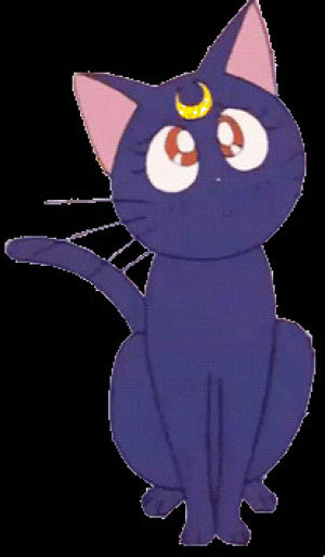 png,sailor moon,cute anime girl,cute animal,transparent,cat,animals,90s,vintage,kawaii,cute anime,miles jai