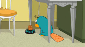 perry the platypus,phineas and ferb,jerk de soleil,perry