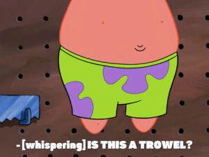 spongebob squarepants,season 7,episode 7