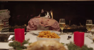 cat,food,christmas,random