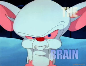 pinky and the brain,90s,cartoon,cartoons