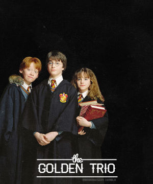 golden trio,the golden trio,harry potter,harry,hp,hermione,ron
