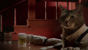 cat,beer,drinking,saloon