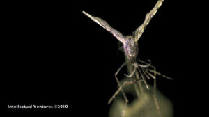 mosquitoes,vs,lasers,precision