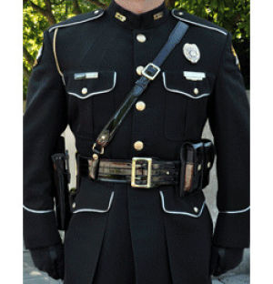 guard,police,fashion,honor,uniforms