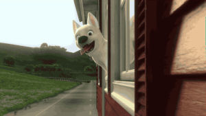 bolt,happy,cute,dog,disney,puppy,walt disney animation studios