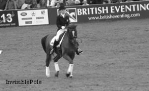 horse,dressage,eventing,horse riding