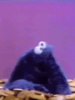 cookie monster,sesame street,muppets,photo,70s,cookie,unknown year