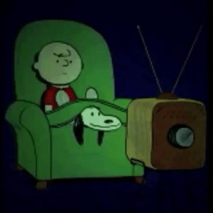 snoopy,funny,tv,charliebrown