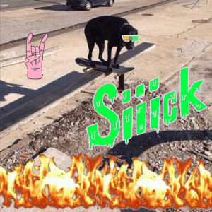 sick,cool dogs,skater dog,teamsixt