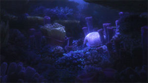 finding dory,finding nemo,finding dory s,dory s,i cant wait for this movie