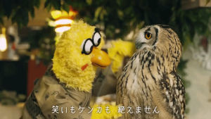 dance,japan,chicken,birds,docomo,japanese commercial