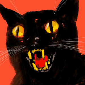 friday the 13th,black cat,friday the thirteenth,halloween,scary,friday,jason,parker jackson,the 13th