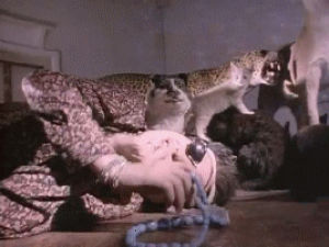 music video,80s,1986,new wave,the cure,the lovecats