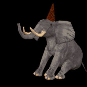 transparent,animals,party stickers,animal,elephant,hat,africa,party,sitting,computerized,party sticker
