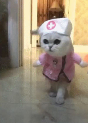 cat,nurse